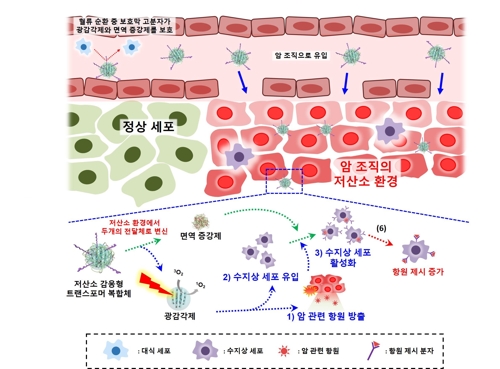 암 찾아 2번 공격…포스텍 연구진 효율 높일 항암치료법 개발