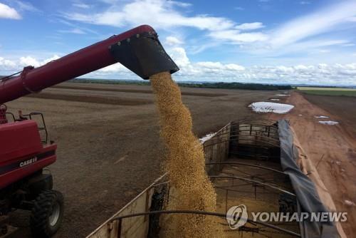 12월 세계식량가격지수 보합세…하락 '일단 멈춤'