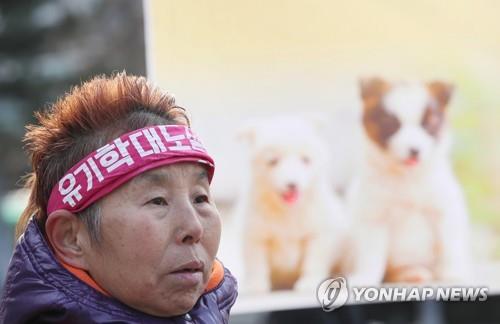 온라인카지노 학대해 죽이면 3년 이하 징역…'애니멀 호더'도 처벌