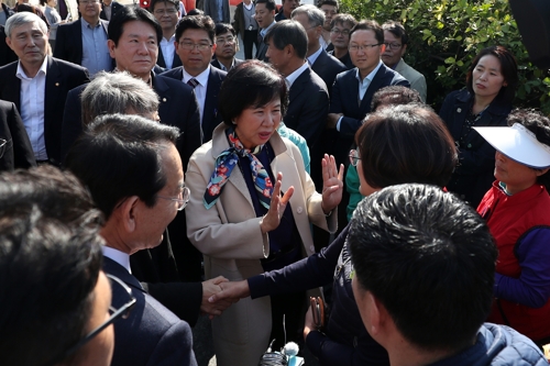 검찰수사 자청한 손혜원 '함께 받자' 조건 단 사업현장은