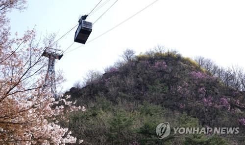 [황금알 케이블카]③해법은 없나…"명확한 기준 필요"