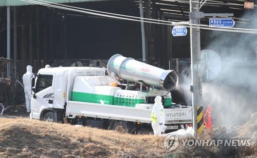 안성서 구제역 발생 하루 만에 또 의심 신고