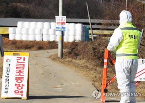 설 앞두고 구제역 확산하나…안성서 하루만에 또 확진