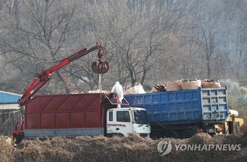 안성 구제역, 축산차량으로 농장 간 전파 가능성