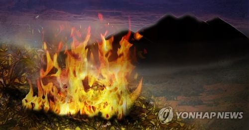 영덕 칠보산 산불…1000㎡ 태우고 1시간 30분만에 진화