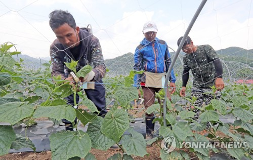 작년 국내 취업 외국인 88만4천명…6년새 18만6천명 증가