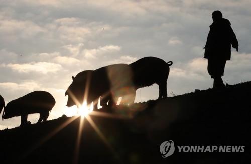 새해 첫날 찬바람에 낮기온도 뚝…수도권 등 오전 미세먼지 주의