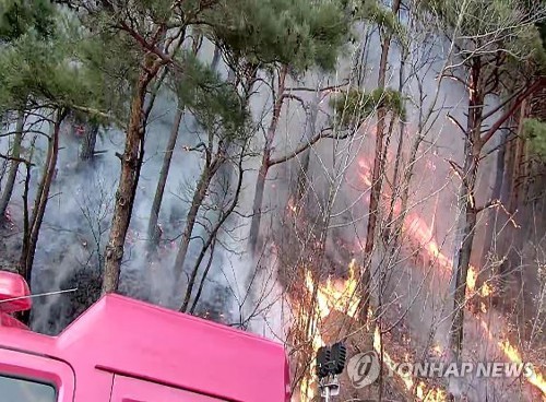 건조경보 속 양양서 산불…435명 투입 진화·주민 대피령