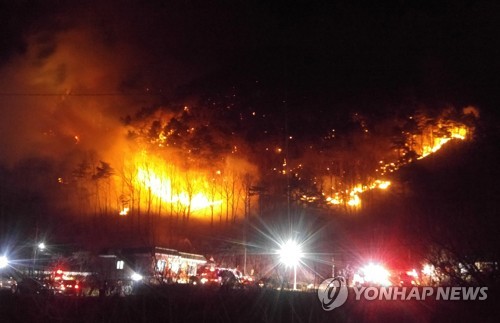 양양 산불로 10㏊ 잿더미…194명 대피·확산 저지 총력