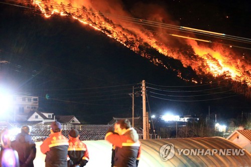 양양 산불로 10㏊ 잿더미…194명 대피·확산 저지 총력