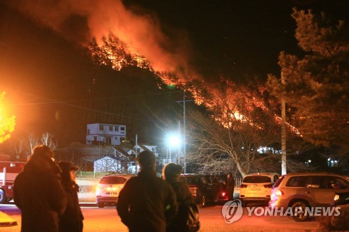 양양 산불로 10㏊ 잿더미…194명 대피·확산 저지 총력