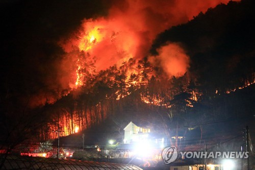 양양산불 확산, 상평리 48가구 103명 대피명령