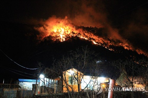 양양 산불로 10㏊ 잿더미…194명 대피·확산 저지 총력