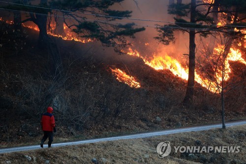 올해들어 벌써 산불 30건 발생…"건조한 날씨 작은 불씨도 주의"