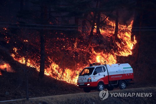 양양산불 이틀째 20㏊ 잿더미·헬기 24대 투입…진화율 70％