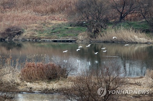 금호타이어 광주공장 이전…실익과 현실성은?