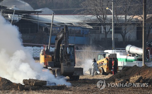 안성 구제역 인근 농가는 증상無…"앞으로 3주가 분수령"