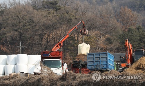 "일방적 살처분 통보"…안성시 대응에 축산인 '섭섭'