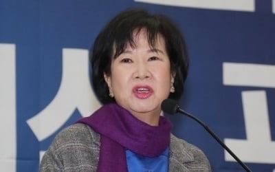 민주 손혜원, 20일 오전 11시 '투기 의혹' 기자회견
