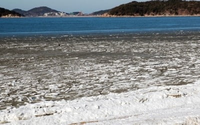 경북 영덕 29㎞ 해역서 규모 3.1 지진…한수원 "원전 영향 없어 정상 가동"