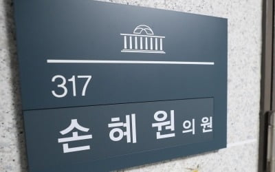 손혜원 투기 의혹 "국회의원 아닌 디자이너·기획자의 행보" 내일 기자회견