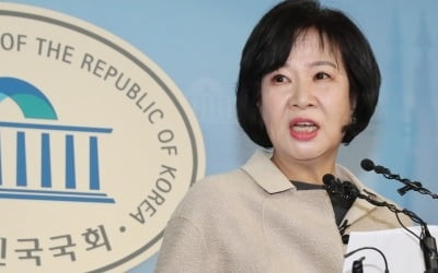 손혜원, 민주당 탈당…"목포서 박지원 이길 사람 있다면 도울 것" 저격