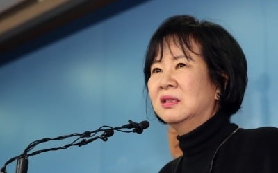 '부동산 투기 의혹' 손혜원 의원, 내일 목포서 기자간담회 예고