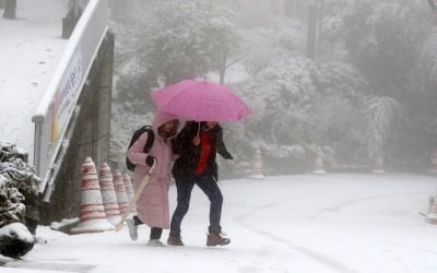 부산 첫눈 '펑펑'…"빙판길 안전사고 유의"