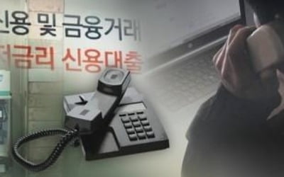 "가계대출 규제 강화 속 서민 대상 대출미끼 범죄 올해도 기승"