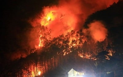 양양산불 확산, 상평리 48가구 103명 대피명령