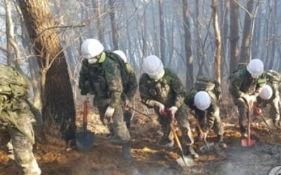 양양산불 20시간 만에 진화 완료…잔불정리·뒷불감시 돌입