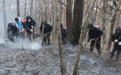 양양 산불 '작은 불씨를 찾아라'…밤샘 뒷불 감시