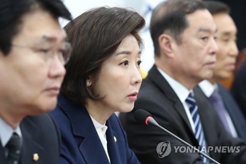 나경원 "국채매입 취소 특가법상 국고손실죄 해당"…고발 검토