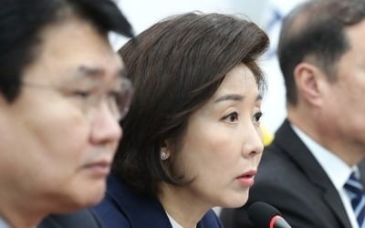 나경원 "국채매입 취소 특가법상 국고손실죄 해당"…고발 검토