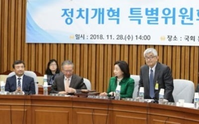 정개특위 자문위, '의원정수 360명·지역구의원 축소' 권고