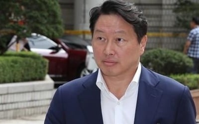 'SK 최태원·동거인에 악플' 누리꾼에 징역형 집행유예