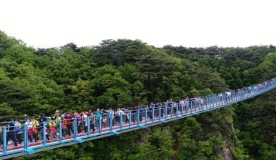 원주 소금산 출렁다리 1년 만에 관광객 186만명 방문 '대박'