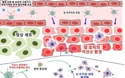 암 찾아 2번 공격…포스텍 연구진 효율 높일 항암치료법 개발