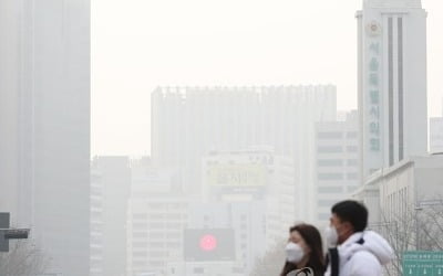 조명래 환경장관 "고농도 미세먼지, 국외발도 상당 부분"