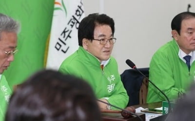 정동영, 오늘 신년 기자회견…'선거제 개혁' 거듭 강조할 듯