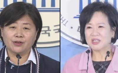 민주 '서영교·손혜원 조치'에 야권 성토…논란 지속 전망