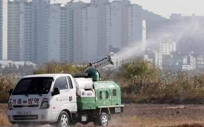 'AI 발 못 붙이도록' 부산 철새도래지·가금농장 방역 총력