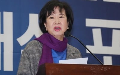 손혜원 의원, 국립박물관 인사 압력 의혹도 제기돼