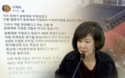 靑 "손혜원 의혹, 당에서 판단할 문제…감찰반 조사대상 아니다"