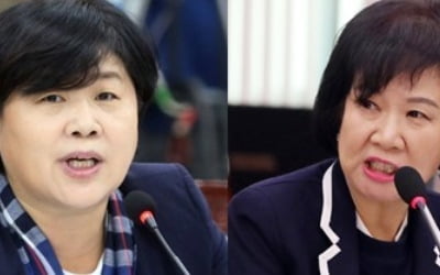 민주, '손혜원 의혹' 방어하면서도…"문제 있으면 추가조치"