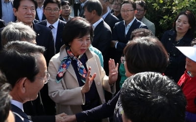 검찰수사 자청한 손혜원 '함께 받자' 조건 단 사업현장은