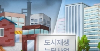 국토부, '손혜원 논란'에 "도시재생사업 불똥 튈까" 촉각
