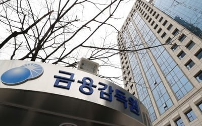 금감원 공공기관 지정되나…방만경영 두고 공운위 격론 예고