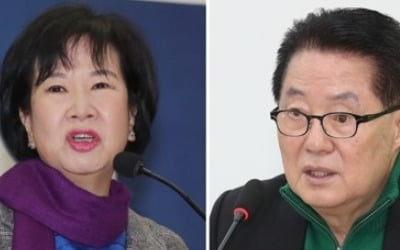 박지원-손혜원 설전 격화…"투기의 아이콘" vs "배신의 신공"