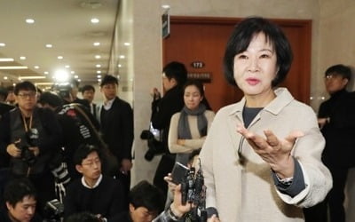 검찰 '직권남용·비밀누설 고발' 손혜원 수사 착수